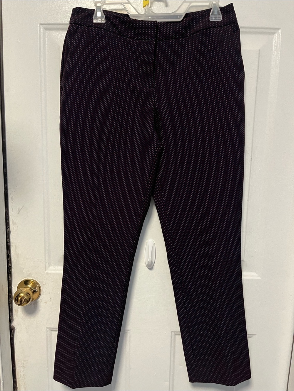Carolina Belle navy Pants with Red Dot Accent size 8 NWOT
